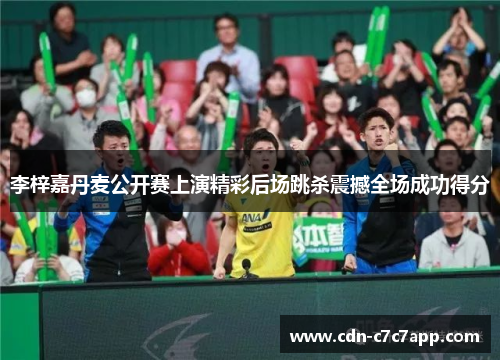 李梓嘉丹麦公开赛上演精彩后场跳杀震撼全场成功得分