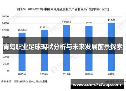 青岛职业足球现状分析与未来发展前景探索