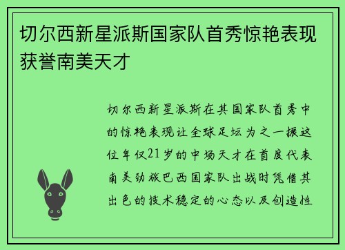 切尔西新星派斯国家队首秀惊艳表现获誉南美天才