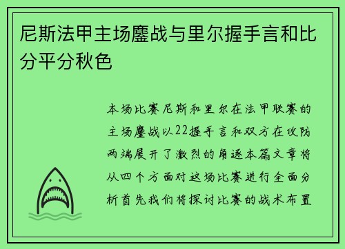 尼斯法甲主场鏖战与里尔握手言和比分平分秋色